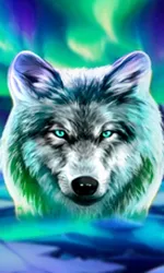 Wolf Fang - Northern Spirits