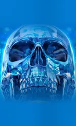Crystal Skull