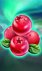 Winterberries